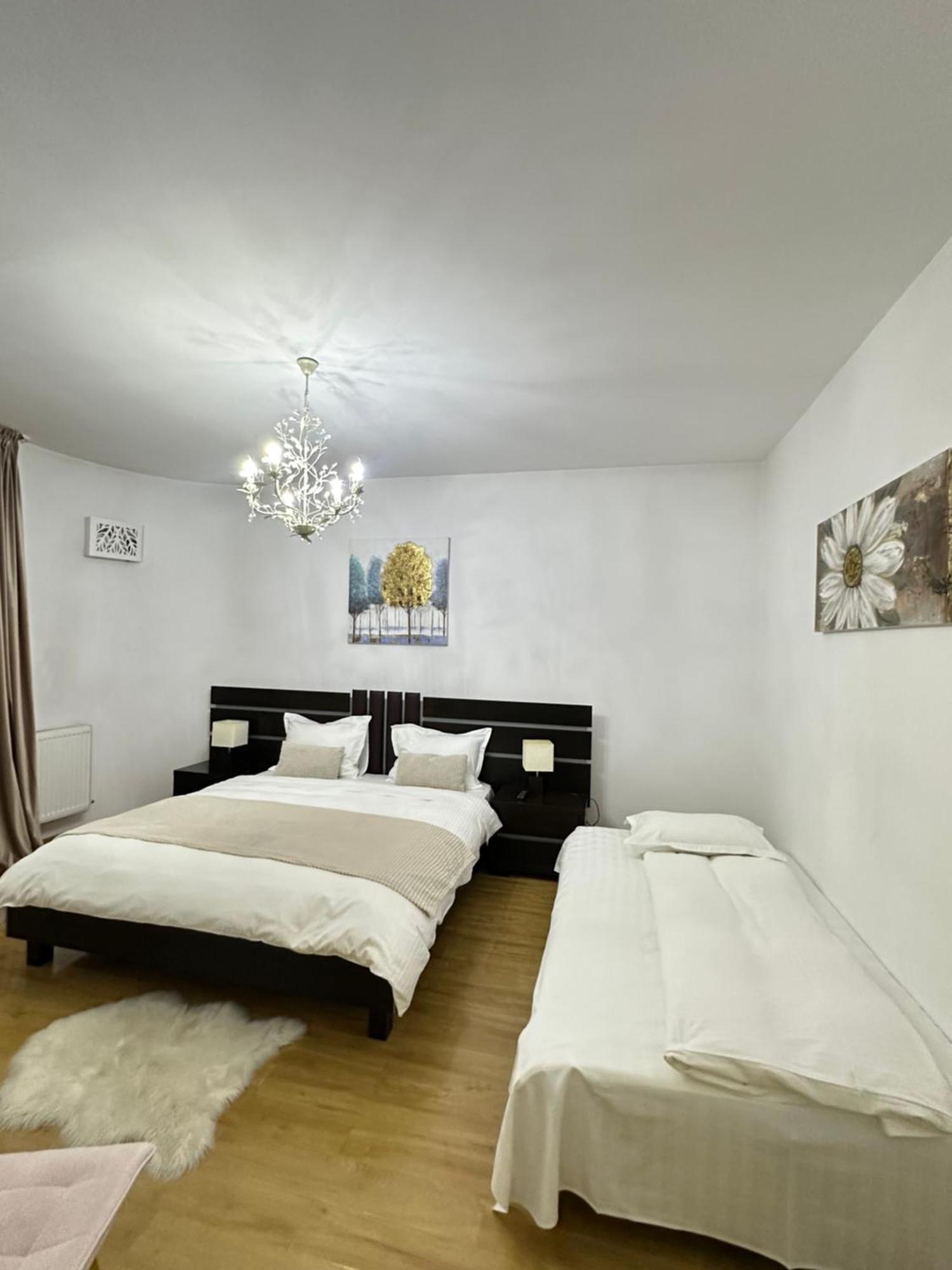 Vila Zoe Bucharestairport&Therme&Parking אוטופן מראה חיצוני תמונה