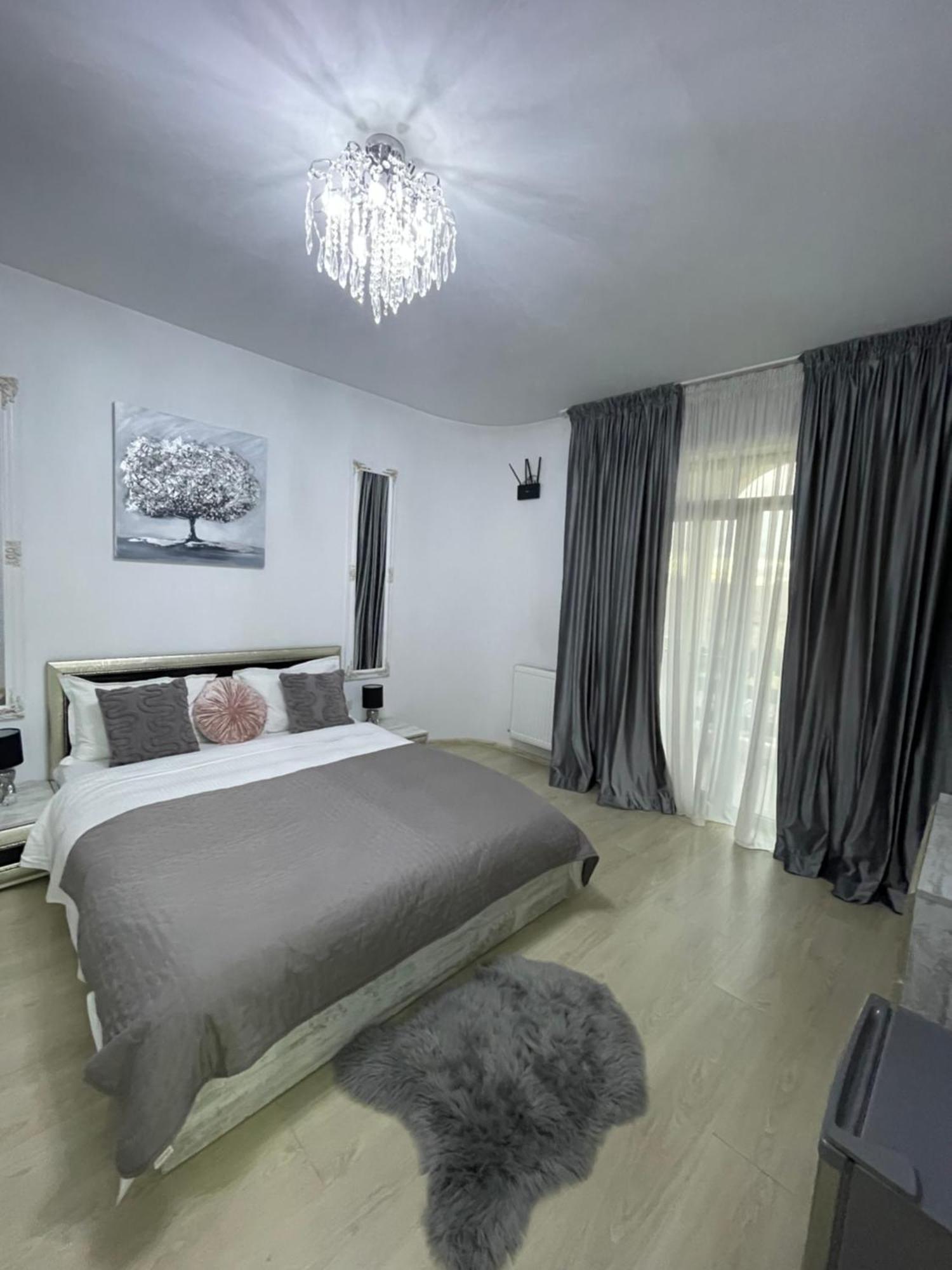 Vila Zoe Bucharestairport&Therme&Parking אוטופן מראה חיצוני תמונה