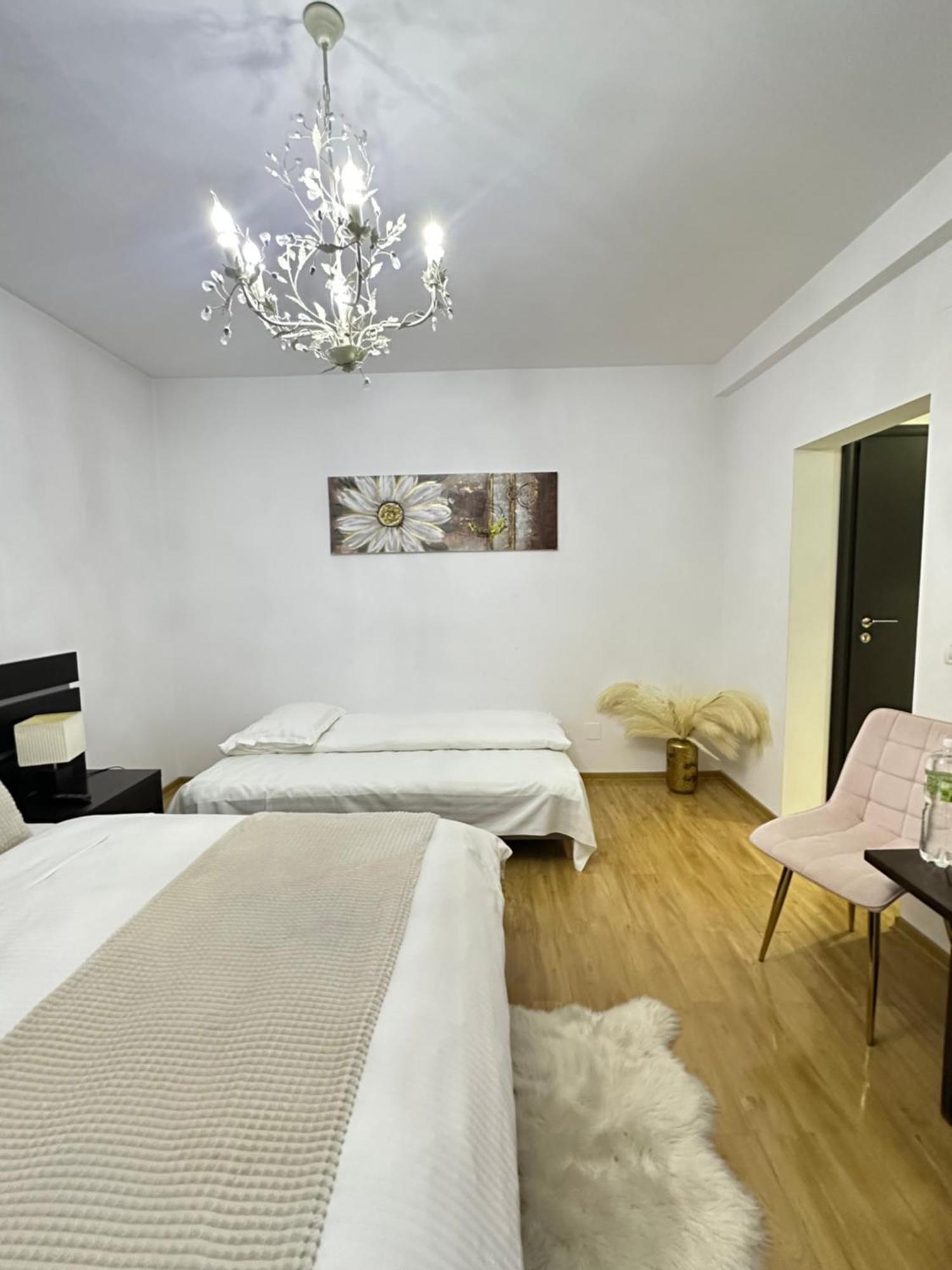 Vila Zoe Bucharestairport&Therme&Parking אוטופן מראה חיצוני תמונה